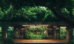 Featured image of post Simulation